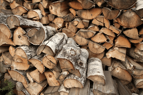 Firewood Types - Silver Birch