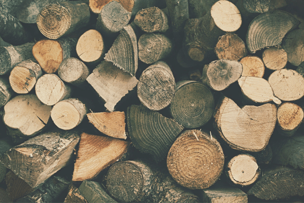 The Best Types Of Firewood To Burn